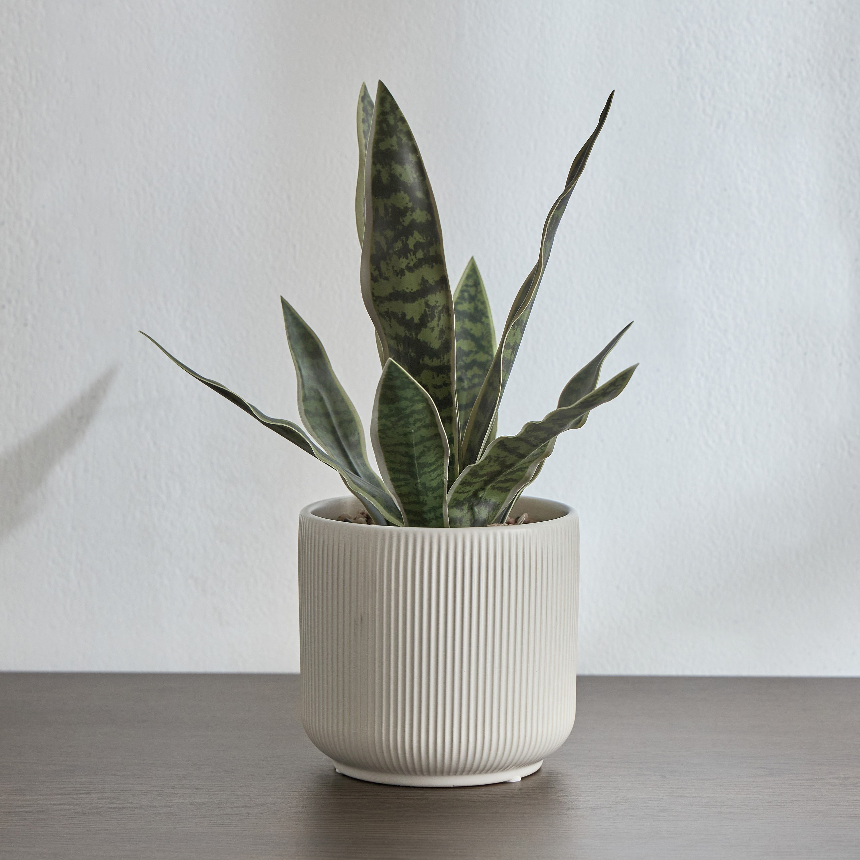 Snake Plant in Ceramic Pot - 35 cm-household-gardenandoutdoor-artificialplants-pottedplants-image-1