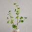 Spring Greenery Leaf Branchlet - 66 cm-household-gardenandoutdoor-artificialflowersandplants-fillers-image-1