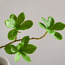 Spring Greenery Leaf Branchlet - 66 cm-household-gardenandoutdoor-artificialflowersandplants-fillers-image-2