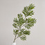 فرع ورق خيزران ربيعي صغير - 109 سم-binpromo_KSA_SNB_15092026-image-3