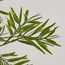 فرع ورق خيزران ربيعي صغير - 109 سم-binpromo_KSA_SNB_15092026-image-2