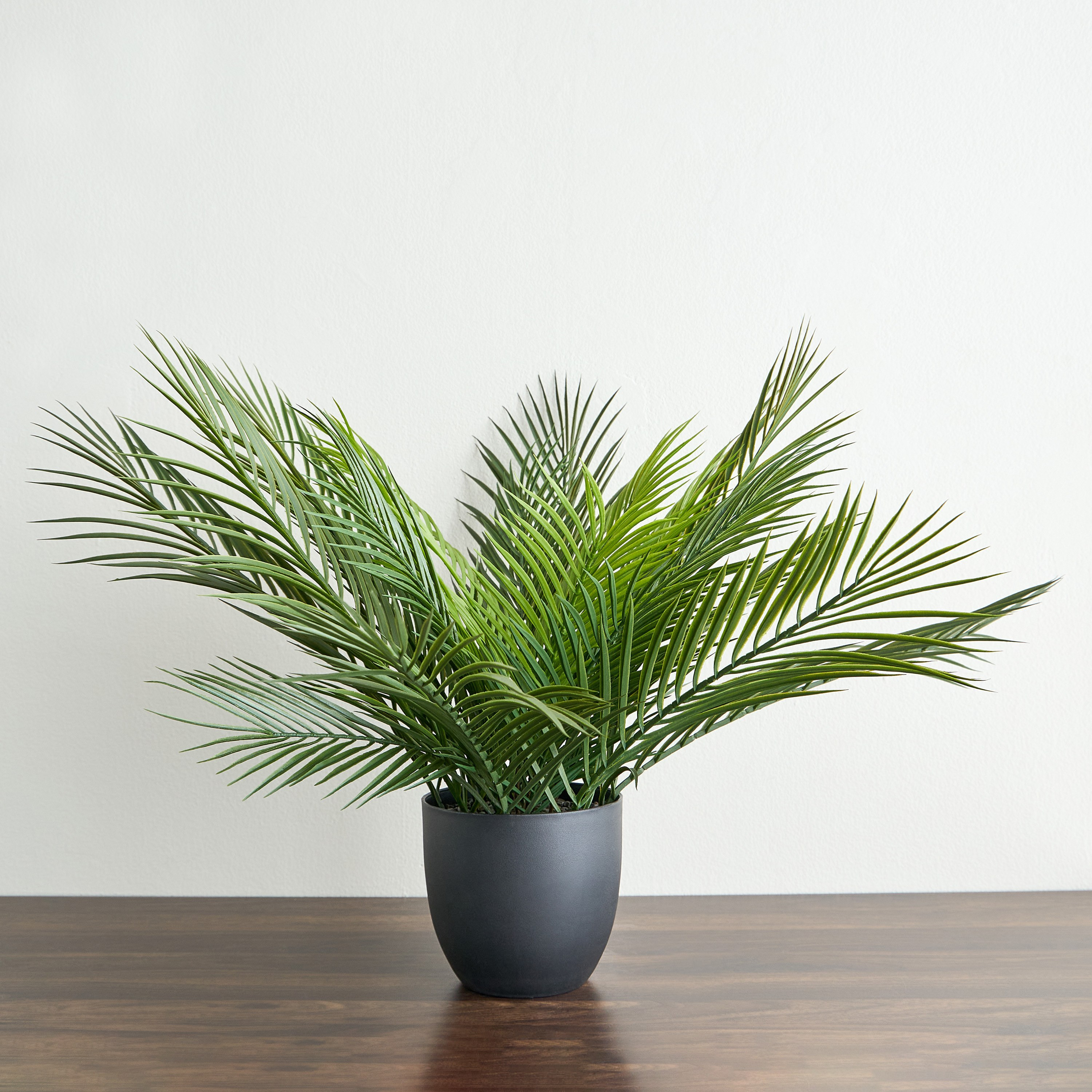 Urbano Palm Plant in Pot - 66 cm-household-gardenandoutdoor-artificialplants-pottedplants-image-1