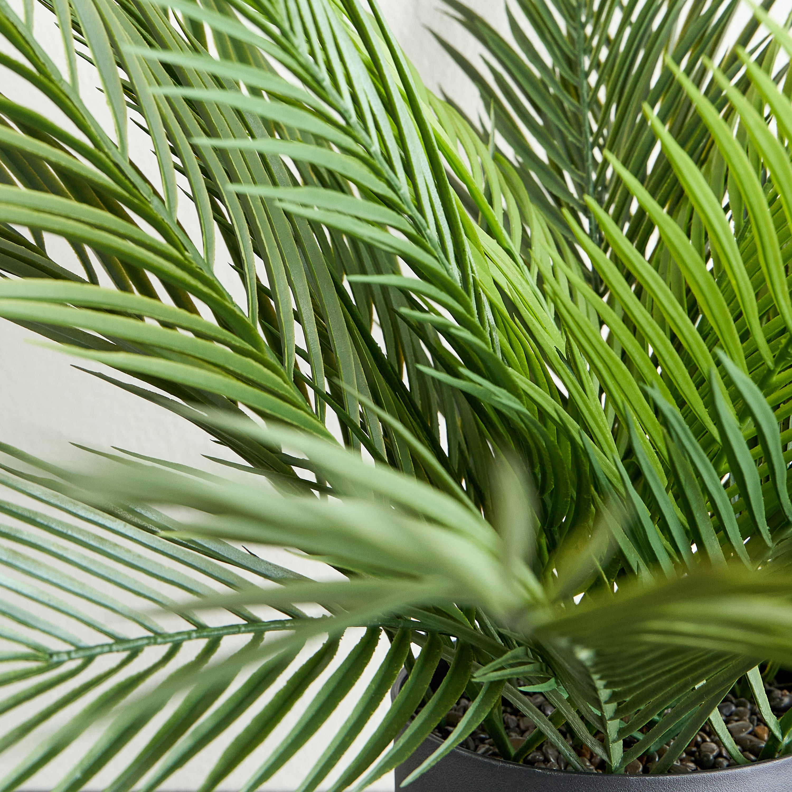 Urbano Palm Plant in Pot - 66 cm-household-gardenandoutdoor-artificialplants-pottedplants-image-2
