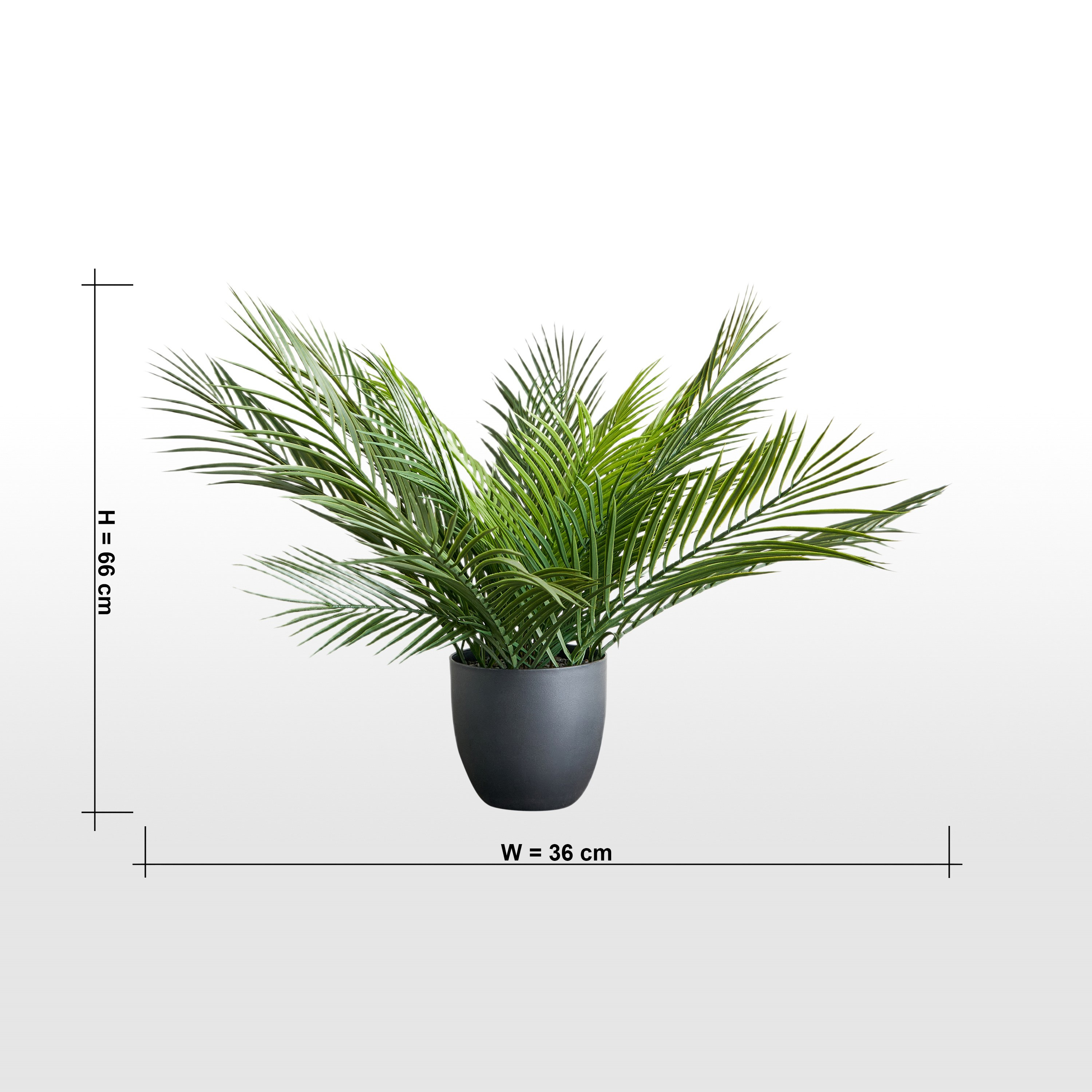 Urbano Palm Plant in Pot - 66 cm-household-gardenandoutdoor-artificialplants-pottedplants-image-4
