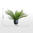 Urbano Palm Plant in Pot - 66 cm-household-gardenandoutdoor-artificialplants-pottedplants-image-4