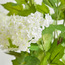Glaze Flair Hydrangea in Ceramic Pot - 60 cm-household-gardenandoutdoor-artificialflowersandplants-flowers-image-2