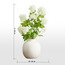 Glaze Flair Hydrangea in Ceramic Pot - 60 cm-household-gardenandoutdoor-artificialflowersandplants-flowers-image-4