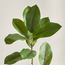 Spring Magnolia Plant - 71 cm-household-gardenandoutdoor-artificialflowersandplants-fillers-image-2