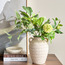 Wild Flower Spray - 62 cm-household-gardenandoutdoor-artificialflowersandplants-fillers-image-3