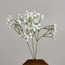 Gypsophila Floral Spray - 67 cm-binpromo_ALLBANKS_OMN_14032025-image-1