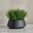 Urbano Grass Plant in Ceramic Pot - 21 cm-household-gardenandoutdoor-artificialplants-pottedplants-image-1