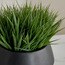 Urbano Grass Plant in Ceramic Pot - 21 cm-household-gardenandoutdoor-artificialplants-pottedplants-image-2