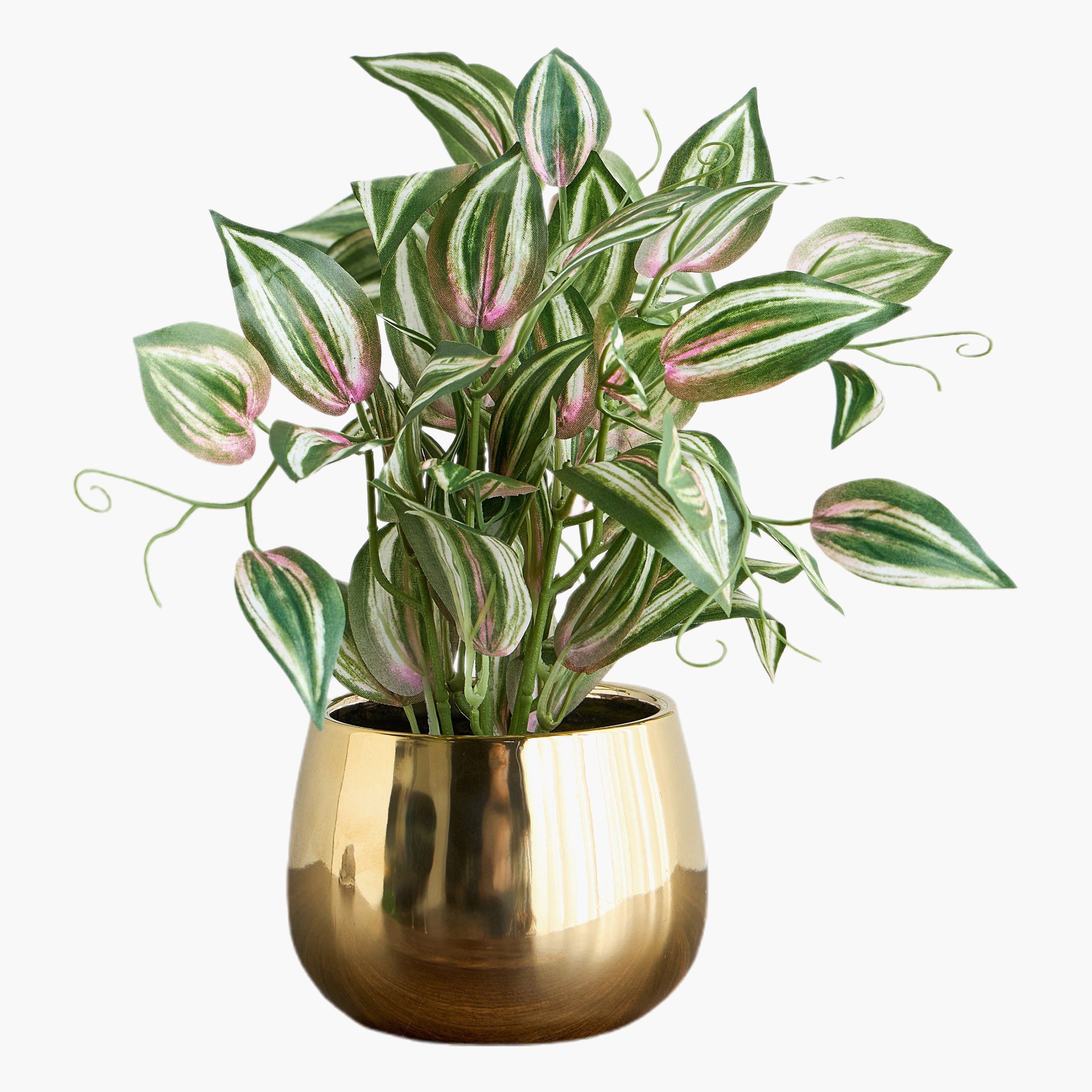 Gild Ivy Zebrina Plant in Ceramic Pot - 40 cm-household-gardenandoutdoor-artificialplants-pottedplants-image-3