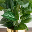 Gild Ivy Aureum Plant in Ceramic Pot - 40 cm-household-gardenandoutdoor-artificialplants-pottedplants-image-2