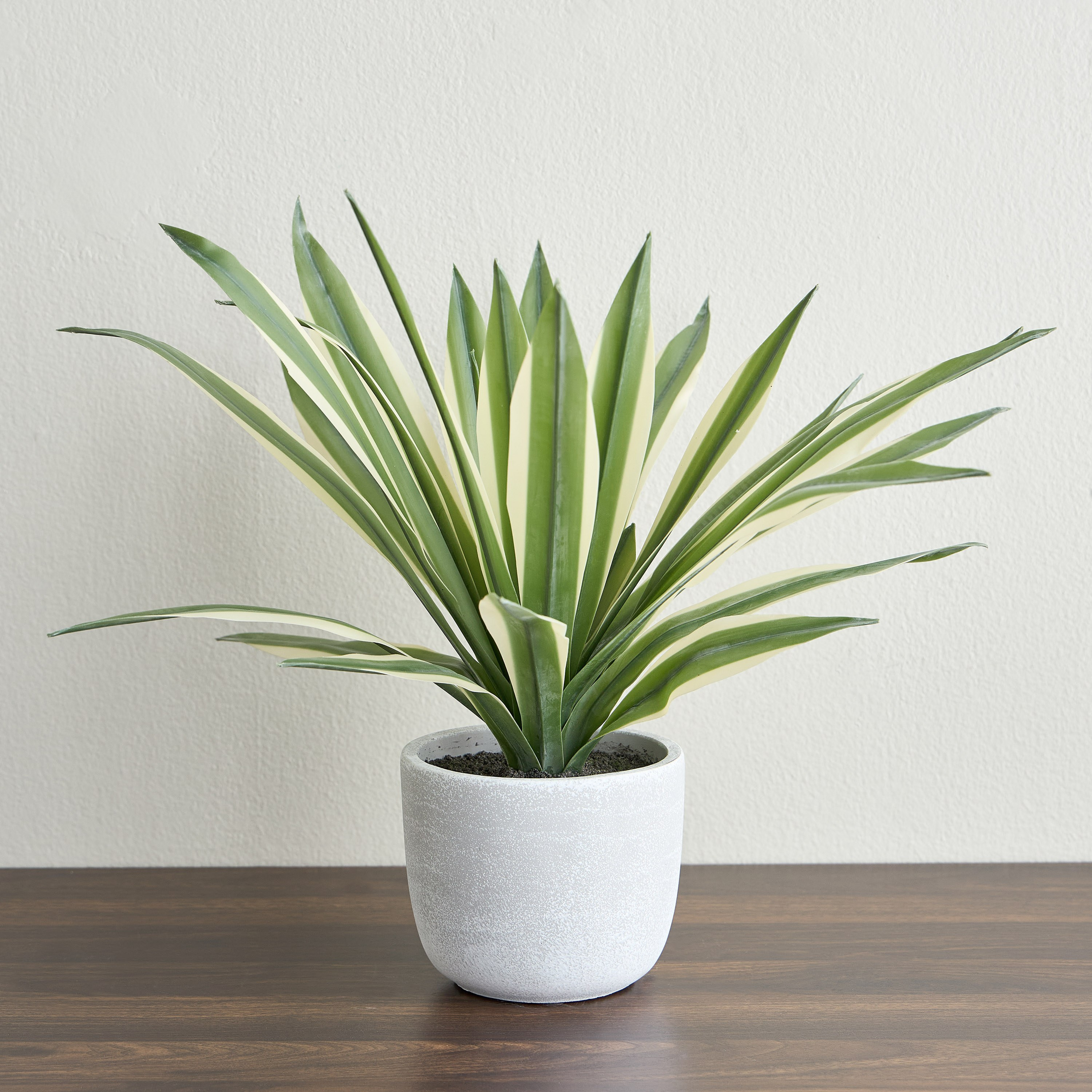 Urbano Blanc Agave Plant in Pot - 66 cm-household-gardenandoutdoor-artificialplants-pottedplants-image-1