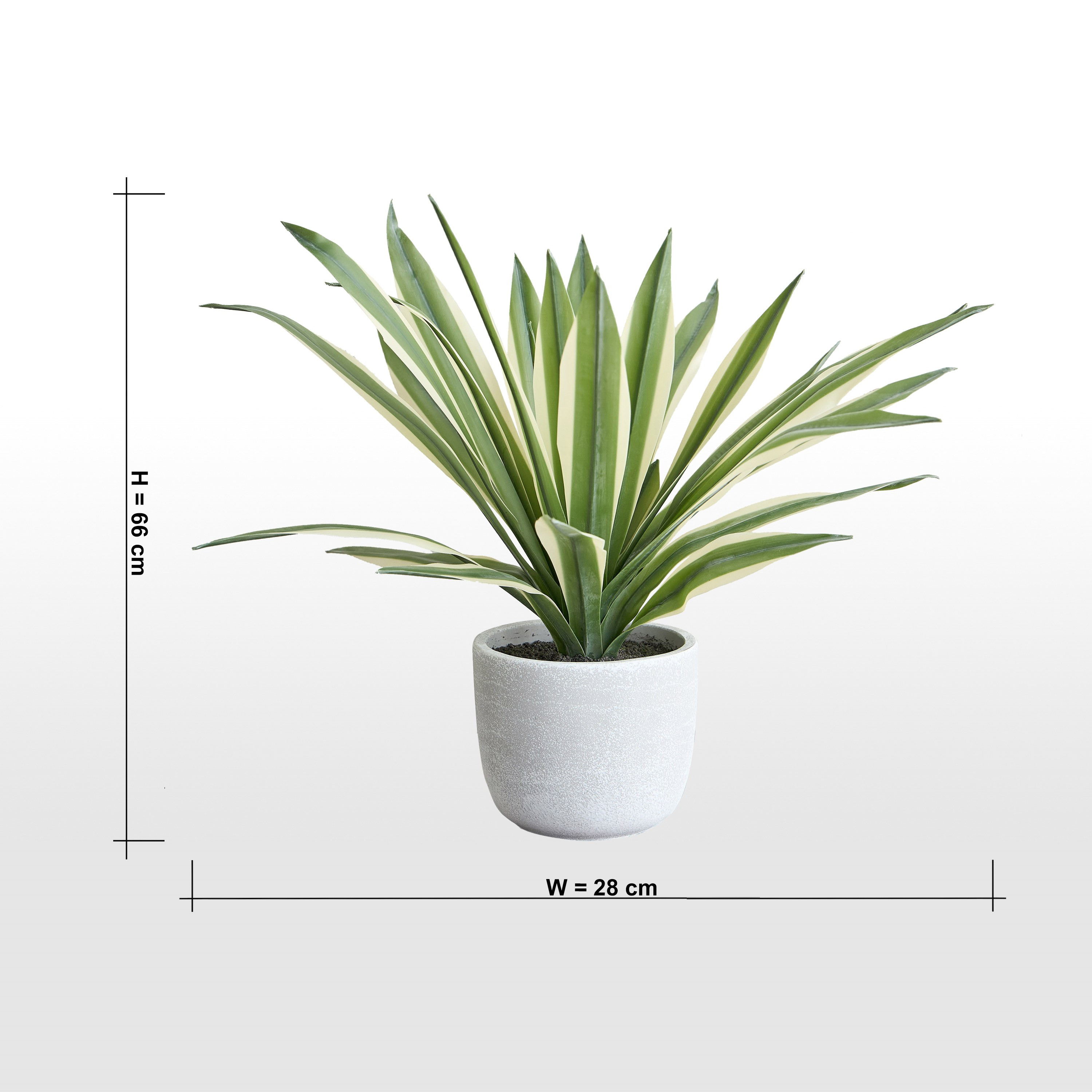 Urbano Blanc Agave Plant in Pot - 66 cm-household-gardenandoutdoor-artificialplants-pottedplants-image-4