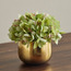 Gild Pixie Hydrangea in Ceramic Pot - 17 cm-household-gardenandoutdoor-artificialflowersandplants-flowers-image-1