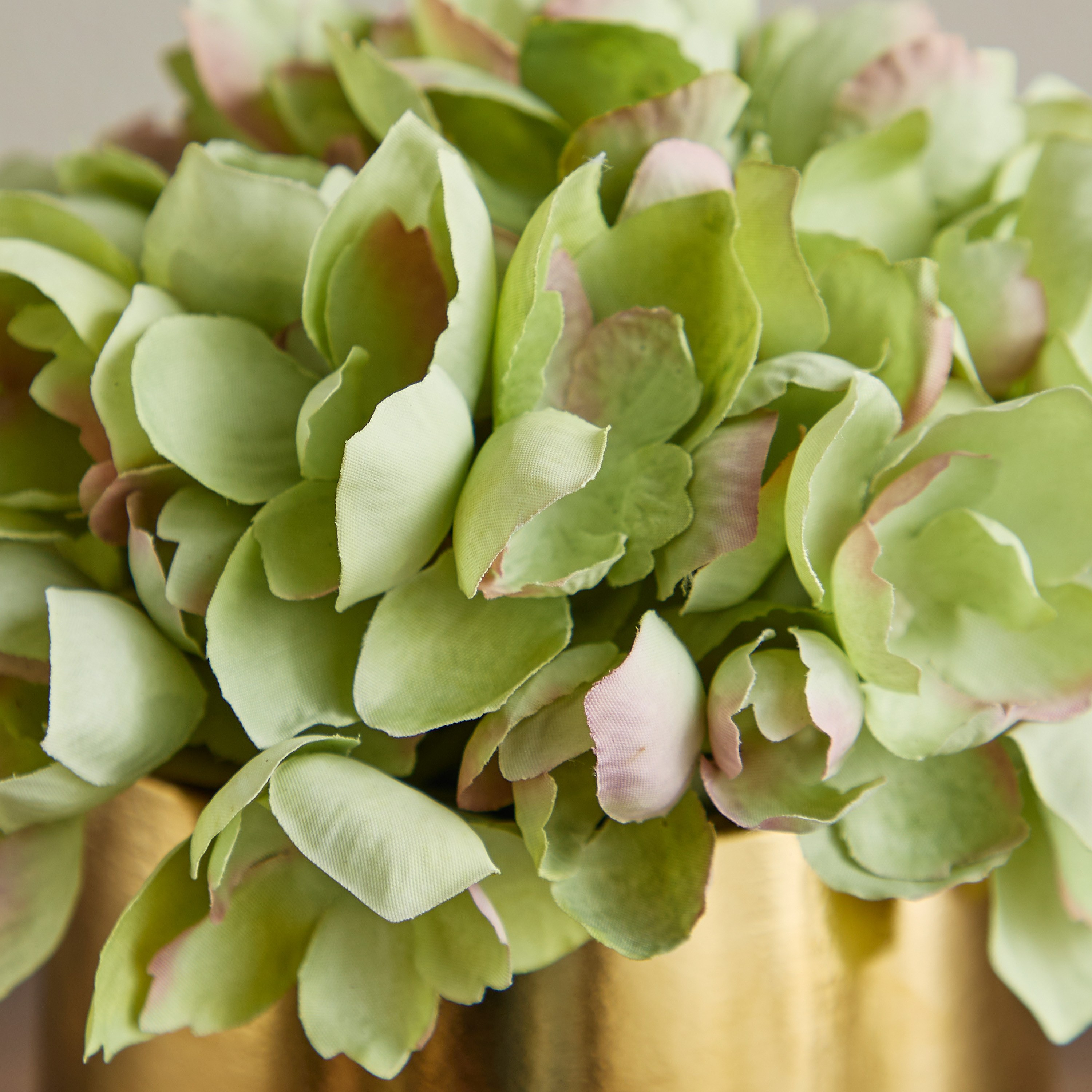 Gild Pixie Hydrangea in Ceramic Pot - 17 cm-household-gardenandoutdoor-artificialflowersandplants-flowers-image-2