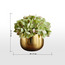 Gild Pixie Hydrangea in Ceramic Pot - 17 cm-household-gardenandoutdoor-artificialflowersandplants-flowers-image-4