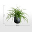 Urbano Grass Plant in Ceramic Pot - 50 cm-household-gardenandoutdoor-artificialplants-pottedplants-image-4