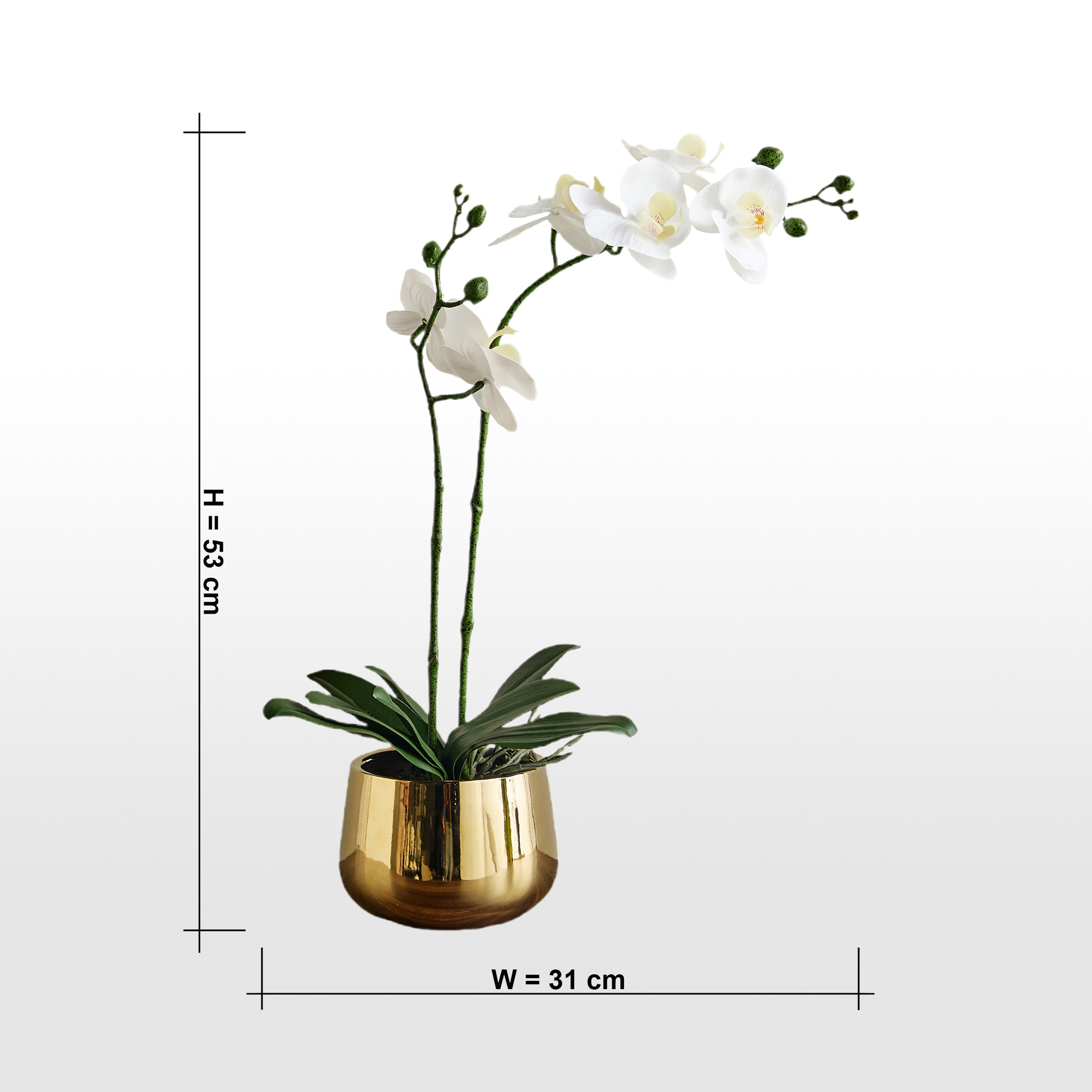 Gild Orchid Duo in Ceramic Pot - 53 cm-household-gardenandoutdoor-artificialflowersandplants-flowers-image-4