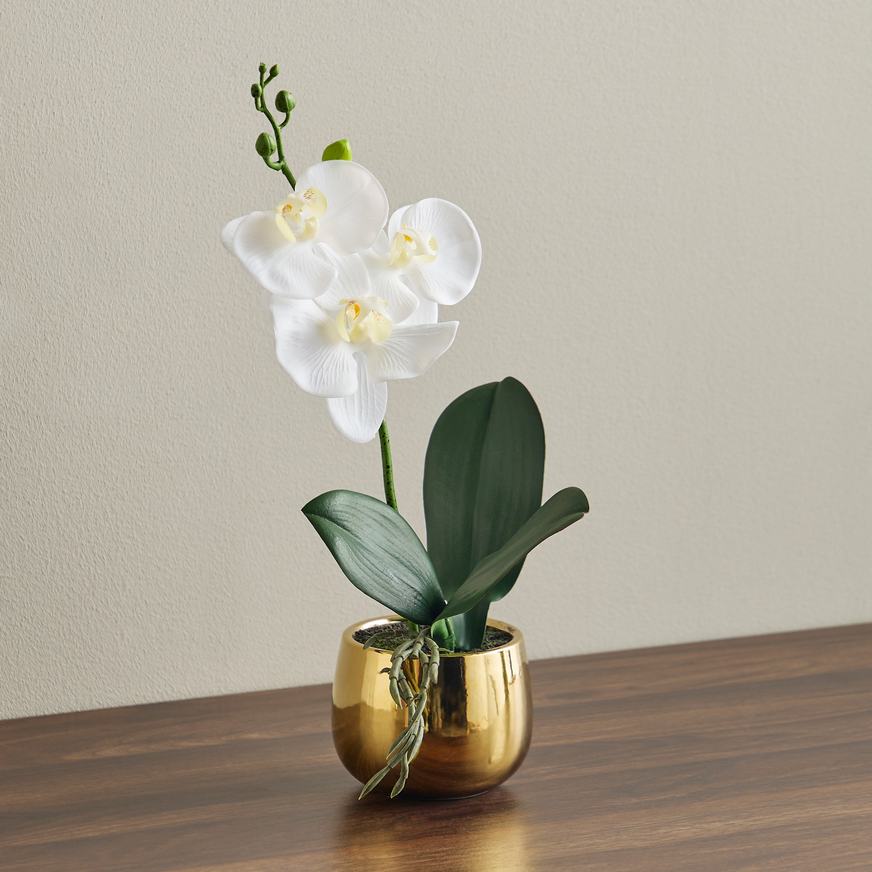 Gild Orchid Single Potted Plant in Ceramic Pot - 36 cm-household-gardenandoutdoor-artificialflowersandplants-flowers-image-1