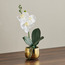 Gild Orchid Single Potted Plant in Ceramic Pot - 36 cm-household-gardenandoutdoor-artificialflowersandplants-flowers-image-1