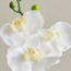 Gild Orchid Single Potted Plant in Ceramic Pot - 36 cm-household-gardenandoutdoor-artificialflowersandplants-flowers-image-2