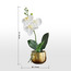 Gild Orchid Single Potted Plant in Ceramic Pot - 36 cm-household-gardenandoutdoor-artificialflowersandplants-flowers-image-4