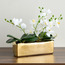 Gild Orchid Plant in Ceramic Pot - 33 cm-household-gardenandoutdoor-artificialflowersandplants-flowers-image-1