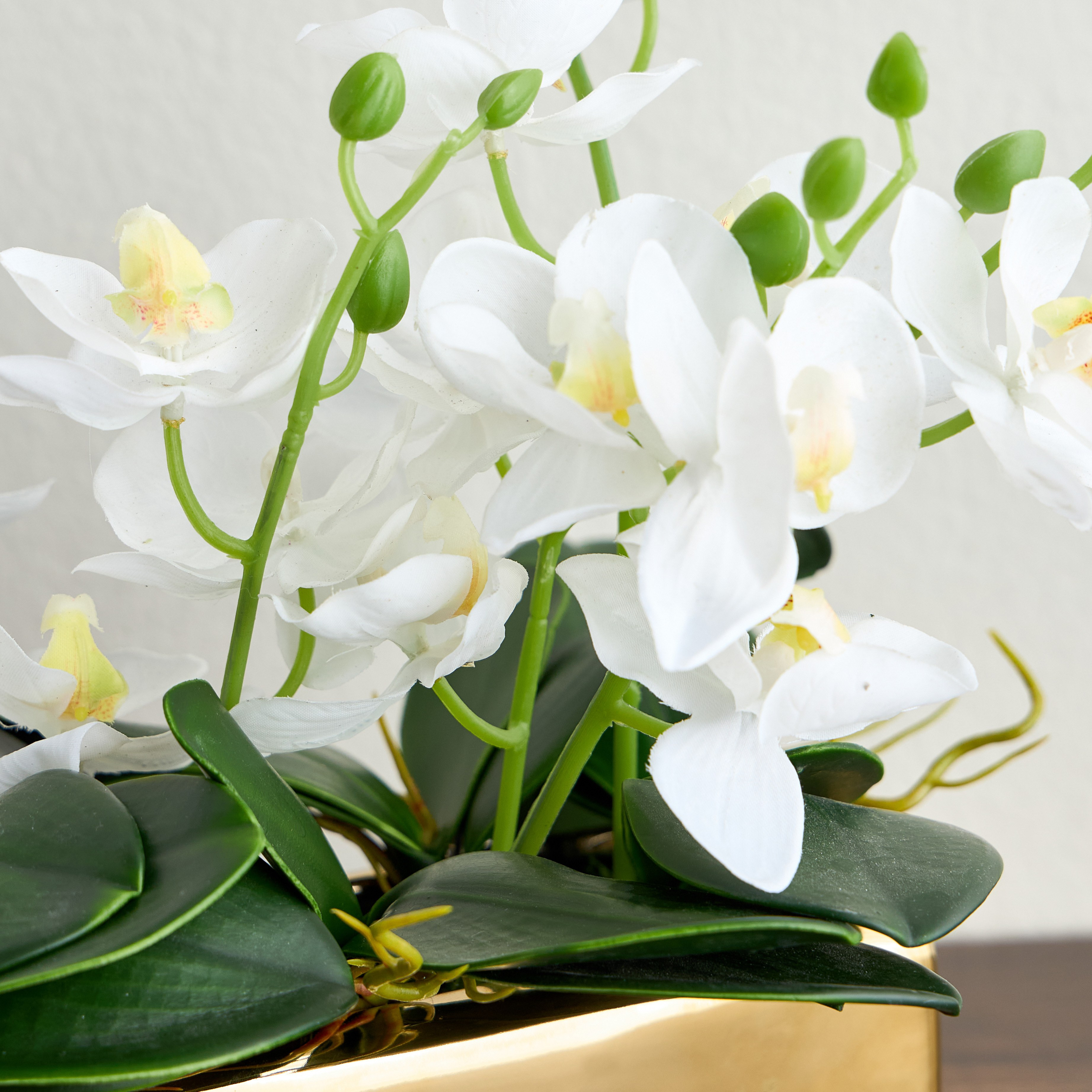 Gild Orchid Plant in Ceramic Pot - 33 cm-household-gardenandoutdoor-artificialflowersandplants-flowers-image-2