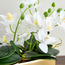 Gild Orchid Plant in Ceramic Pot - 33 cm-household-gardenandoutdoor-artificialflowersandplants-flowers-image-2