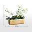Gild Orchid Plant in Ceramic Pot - 33 cm-household-gardenandoutdoor-artificialflowersandplants-flowers-image-4