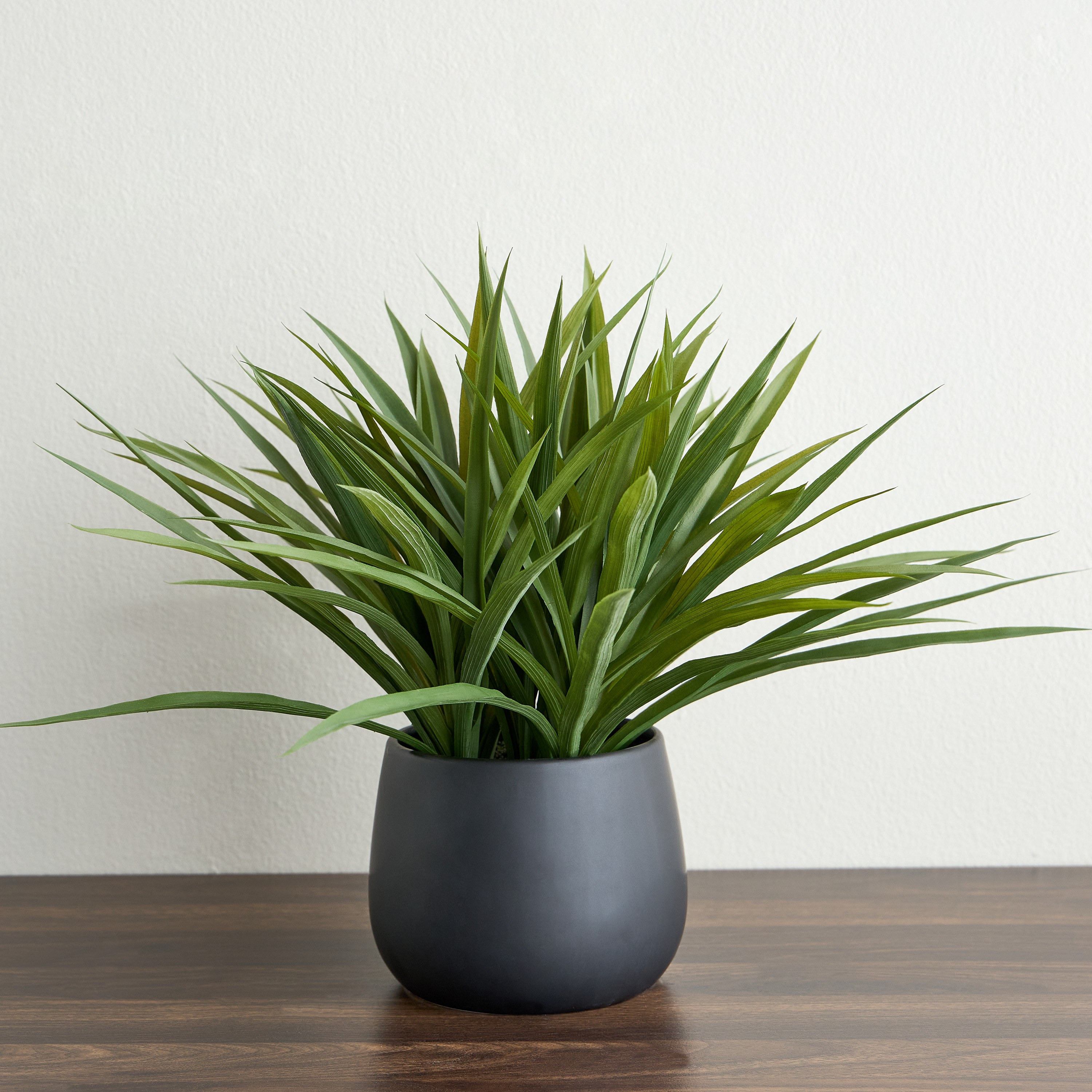 Urbano Lemon Grass Plant in Ceramic Pot - 38 cm-household-gardenandoutdoor-artificialplants-pottedplants-image-1