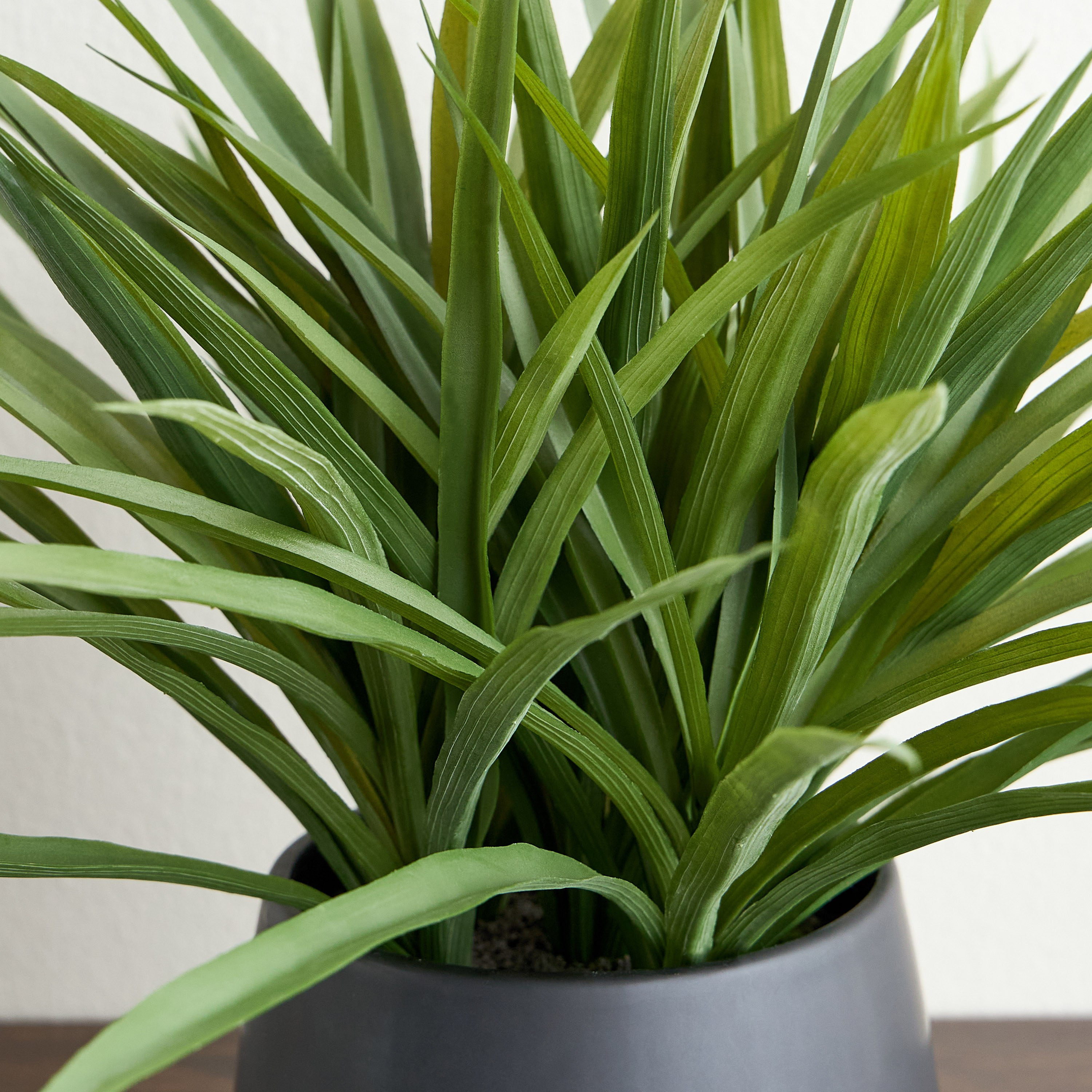 Urbano Lemon Grass Plant in Ceramic Pot - 38 cm-household-gardenandoutdoor-artificialplants-pottedplants-image-2