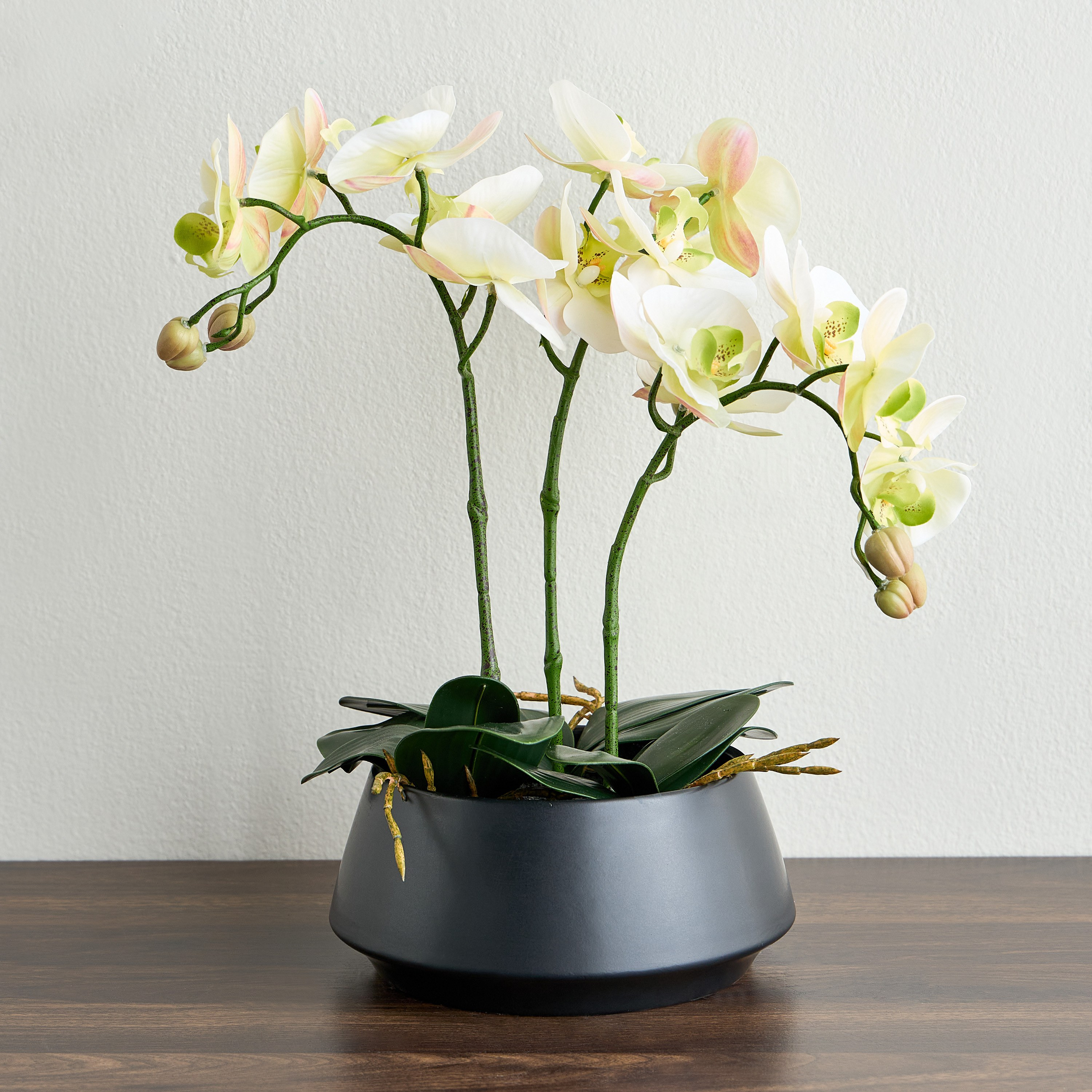Urbano Orchid Plant in Ceramic Pot - 43 cm-household-gardenandoutdoor-artificialflowersandplants-flowers-image-1