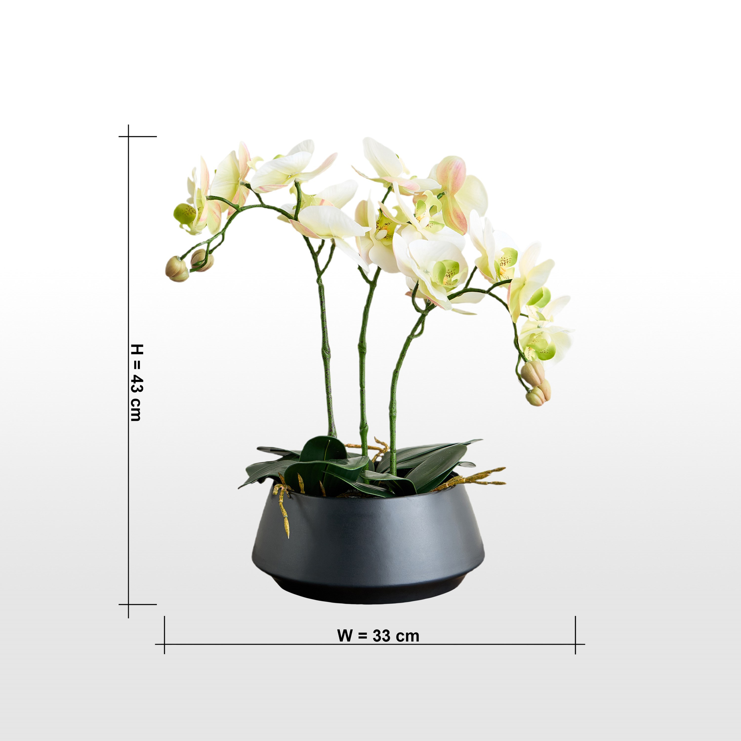 Urbano Orchid Plant in Ceramic Pot - 43 cm-household-gardenandoutdoor-artificialflowersandplants-flowers-image-4