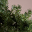 شجرة صنوبر بتصميم هلال - 150 سم-household-gardenandoutdoor-trees-image-1