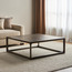 طاولة قهوة - هيستر-furniture-livingroom-coffeetables-image-6