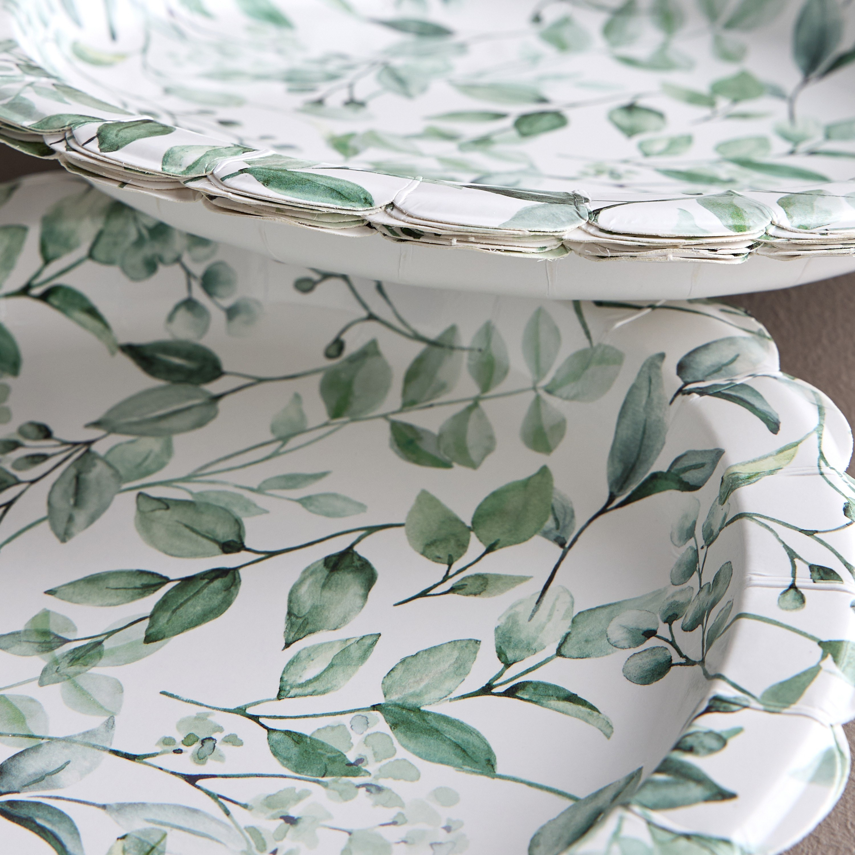 طقم صحون عشاء للاستعمال مرة واحدة من لب الخشب 10 قطع - إليبس - 27 سم-household-dining-dinnerware-plates-image-2