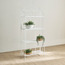 حامل نباتات معدني بثلاث طبقات - سيكويا - 147 سم-binpromo_ALLBANKS_OMN_14032025-image-8