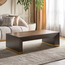 Erfurt Coffee Table-furniture-livingroom-coffeetables-image-1