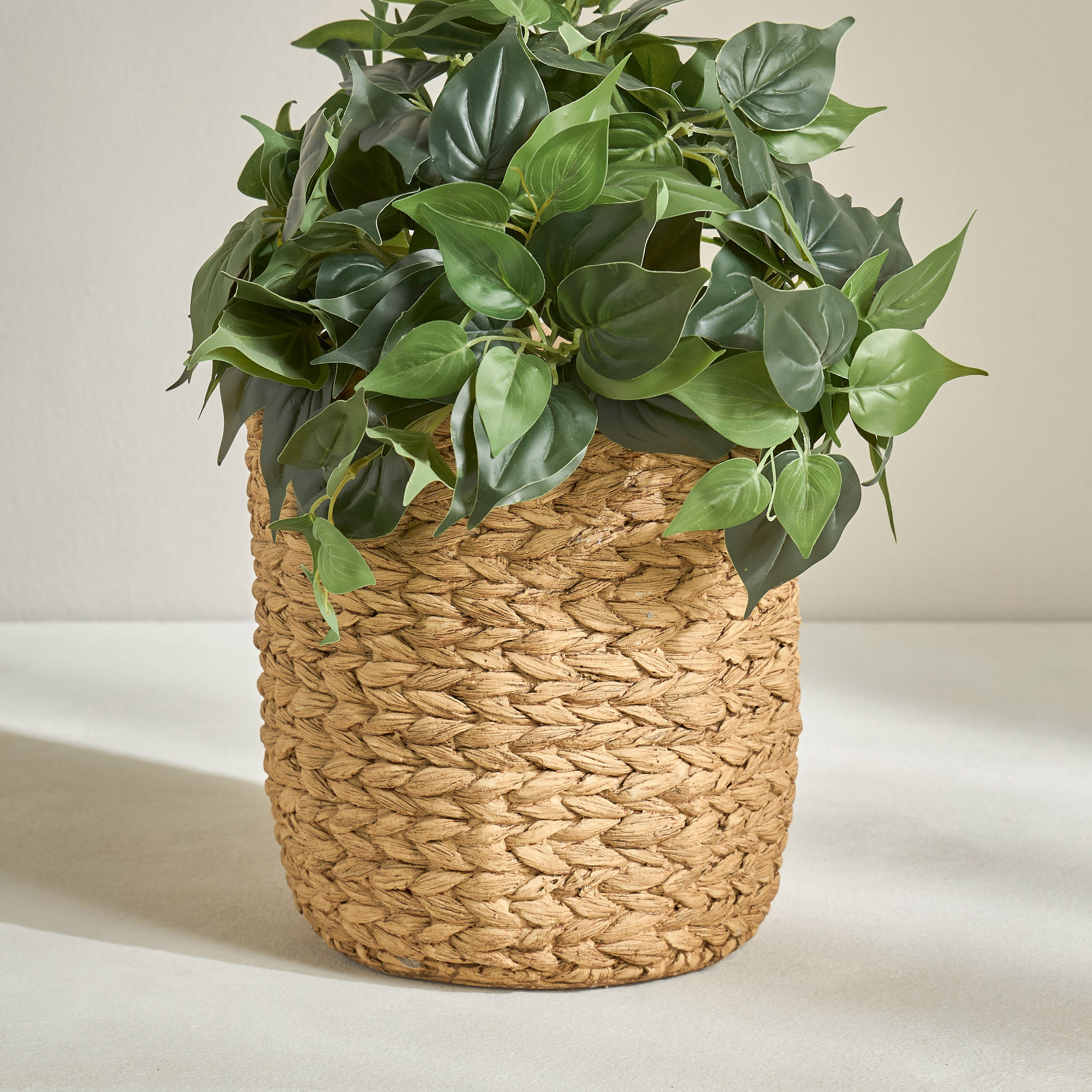 Calcify Braided Planter - 27 cm-household-gardenandoutdoor-potsandplanters-planters-image-1