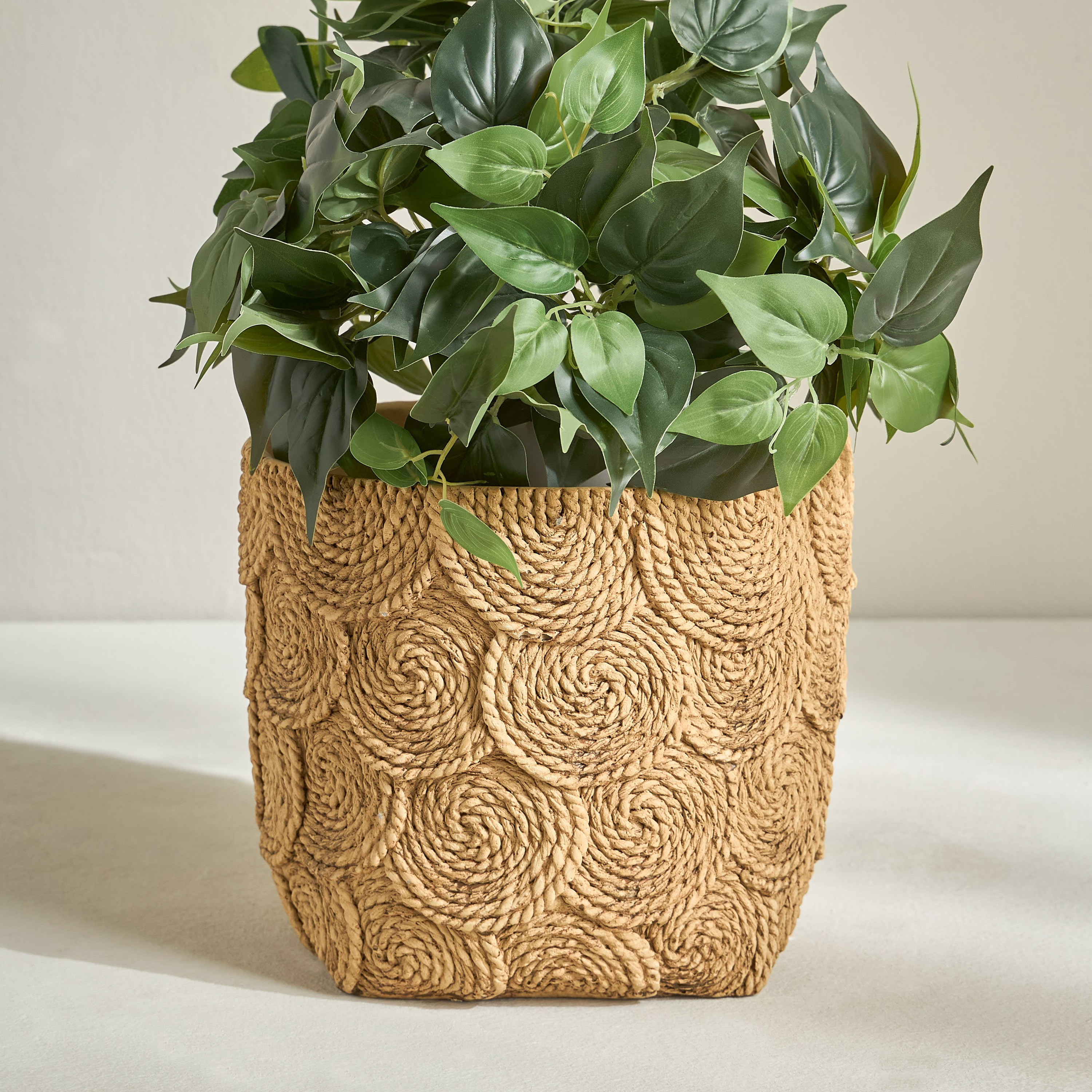 Calcify Circular Braided Planter - 24 cm-household-gardenandoutdoor-potsandplanters-planters-image-1