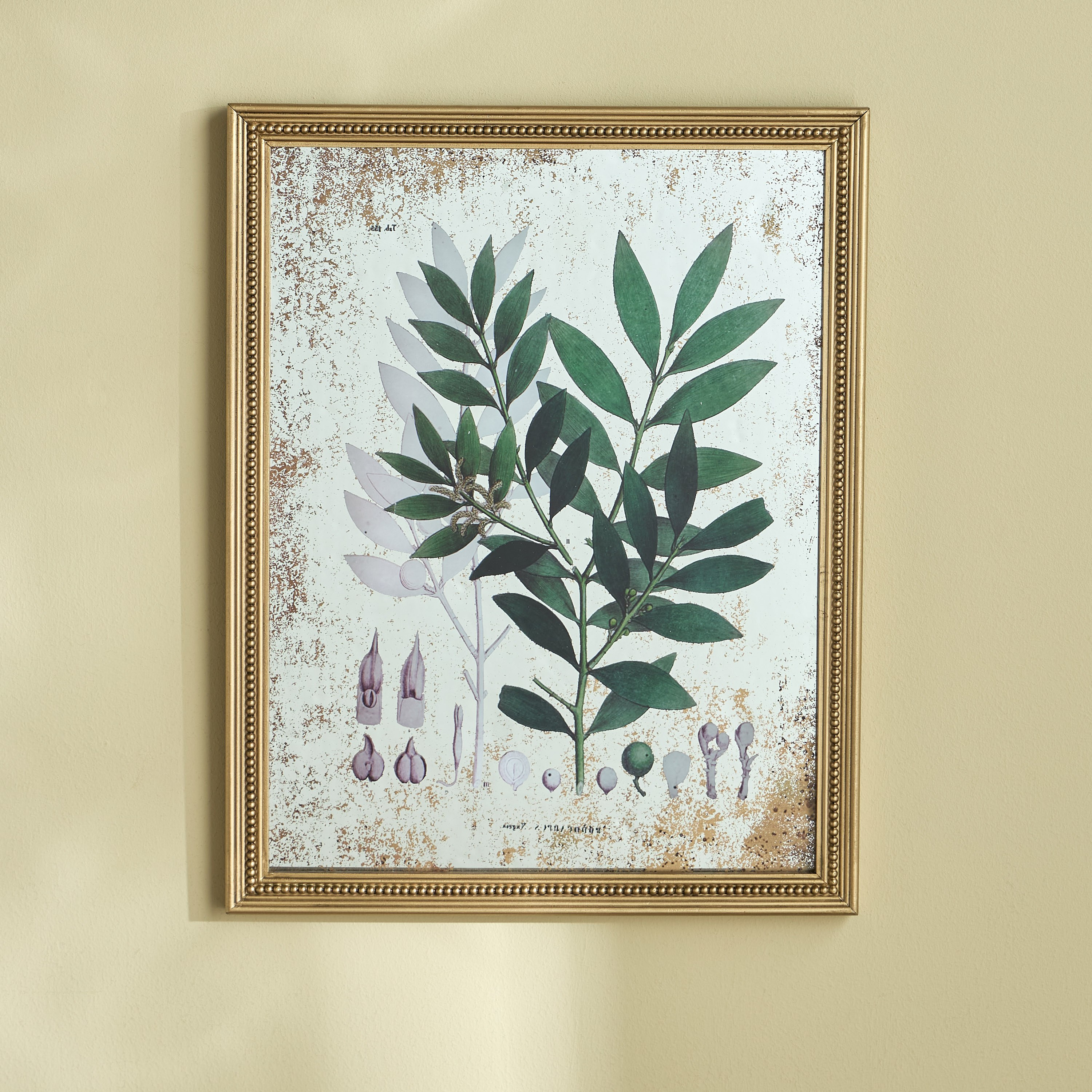 Yurii Framed Canvas Wall Art - 45x57 cm-household-walldecorandmirrors-wallart-image-1