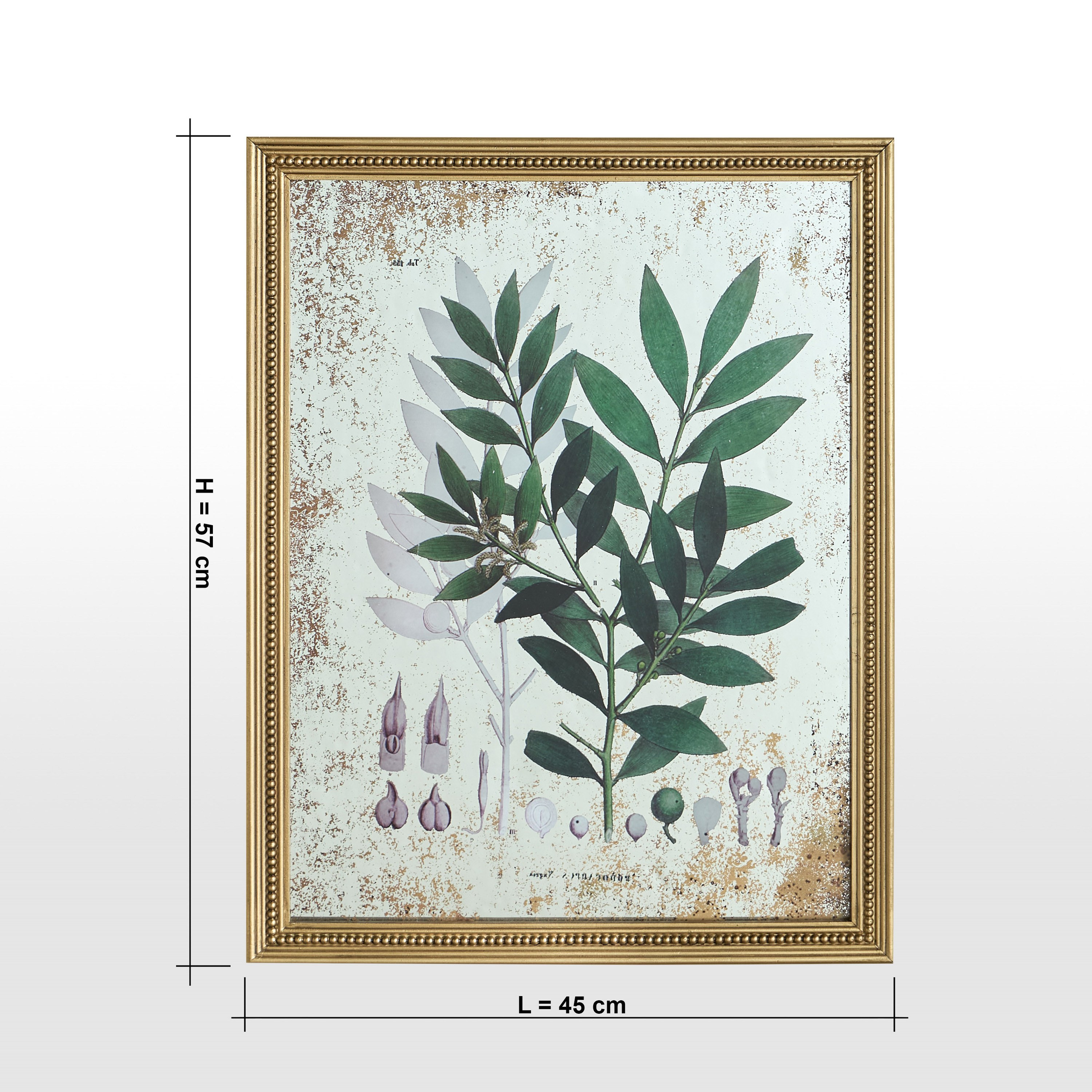 Yurii Framed Canvas Wall Art - 45x57 cm-household-walldecorandmirrors-wallart-image-4