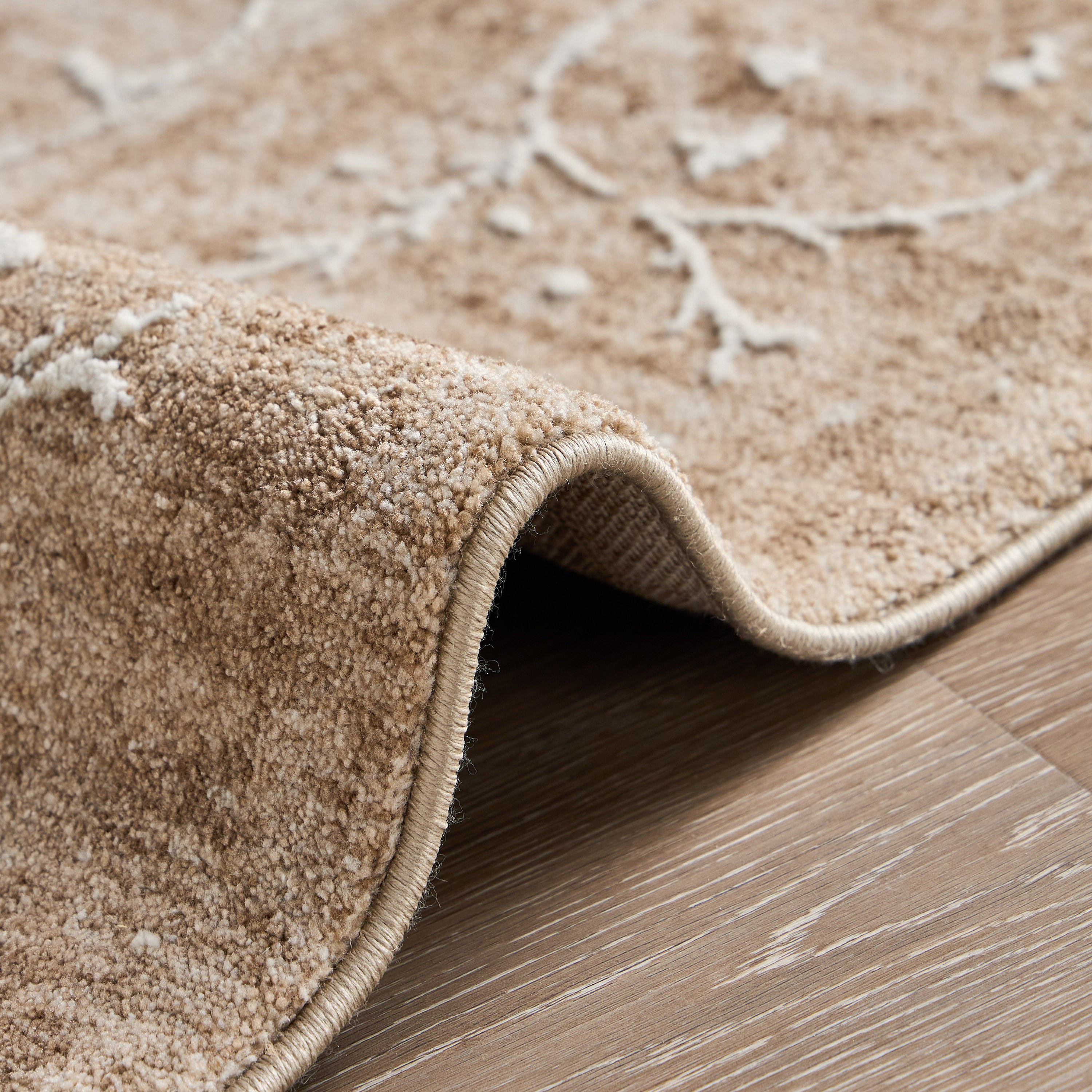 سجادة - راشيل بيرا - 240x360 سم-household-rugsandcarpets-rugs-image-4