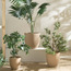 Themis Speckled Ceramic Planter - 32 cm-binpromo_KSA_Alrajhi_17062026-image-4