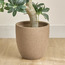 إناء زرع سيراميك مرقط - ثيميس - 24 سم-household-gardenandoutdoor-potsandplanters-planters-image-5