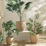 إناء زرع سيراميك مرقط - ثيميس - 24 سم-household-gardenandoutdoor-potsandplanters-planters-image-2